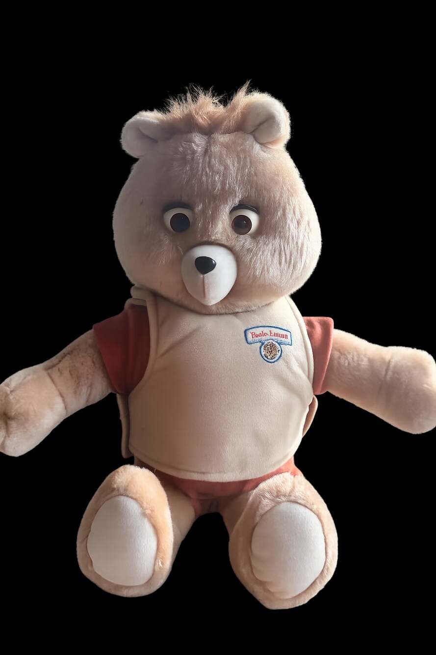 Teddy Ruxpin Interactive Storytelling Bear  Treasure Series Preview Book 2006